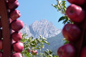 Schützenfest 008